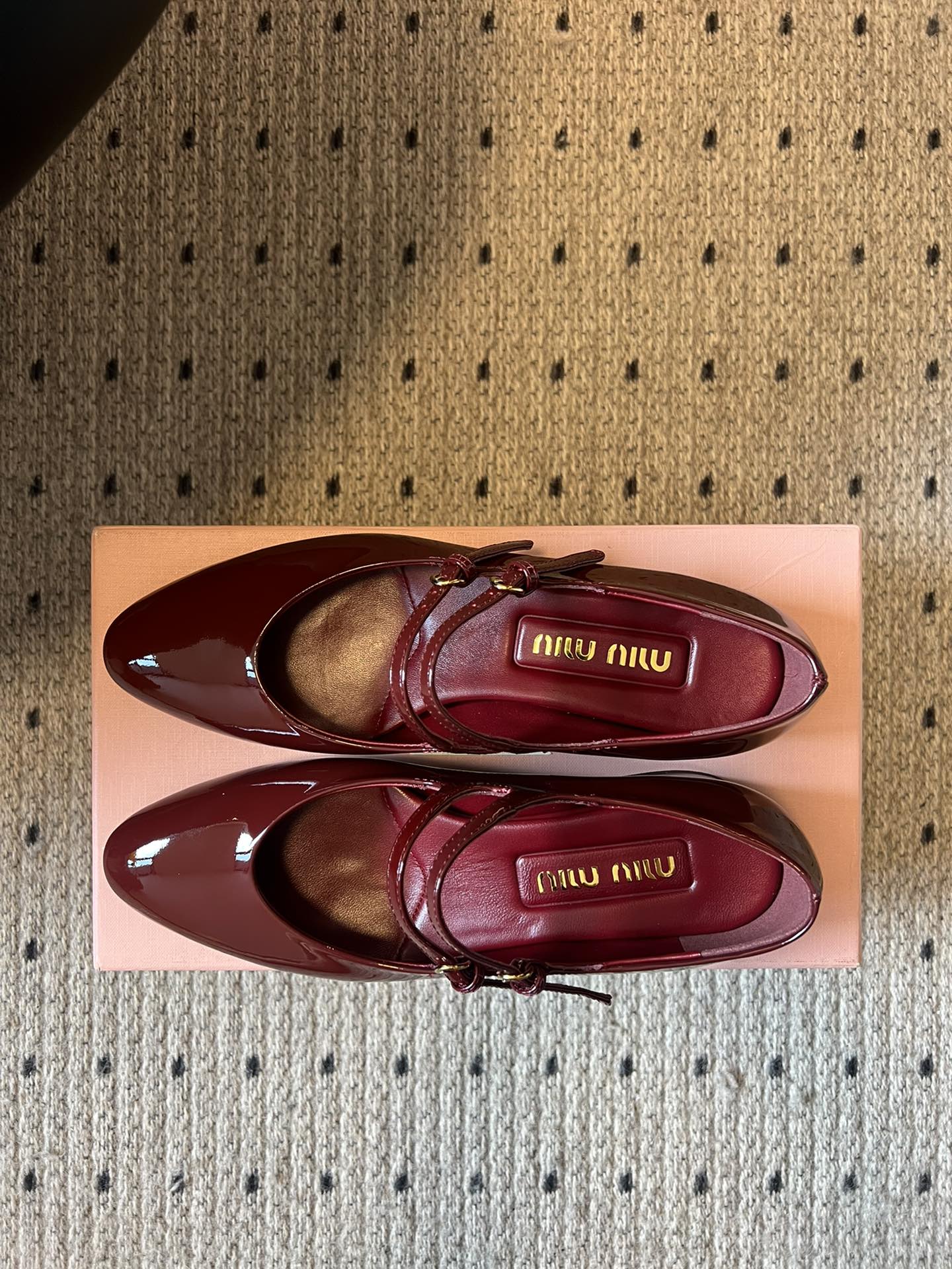 Miu Miu Pointed Toe Mary Jane Block Heels