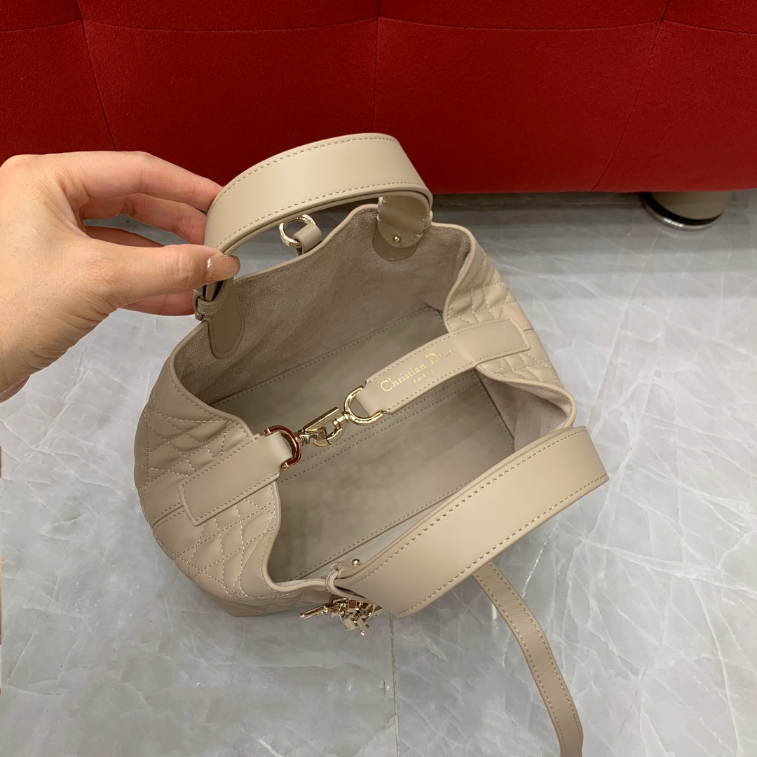Dior Toujours Small Handbag
