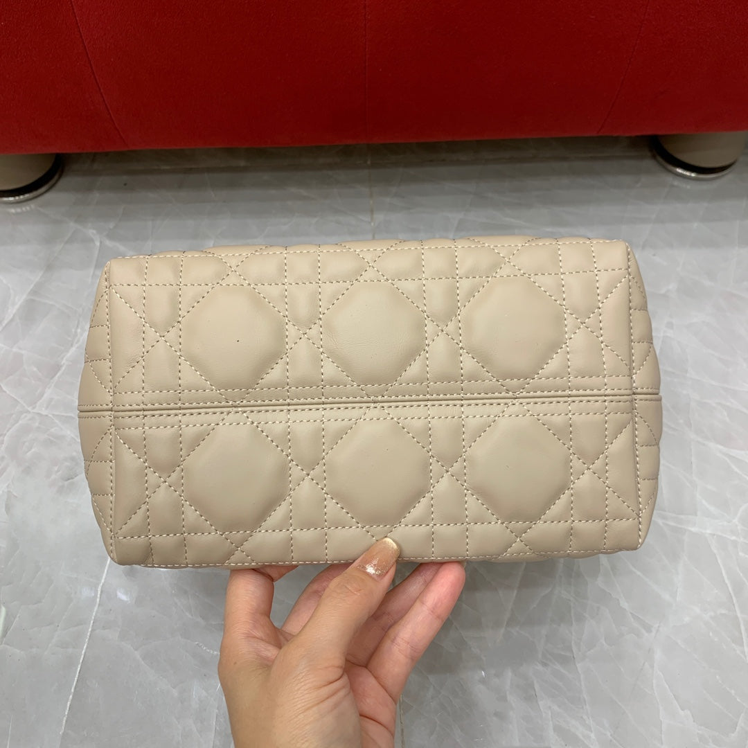 Dior Toujours Small Handbag