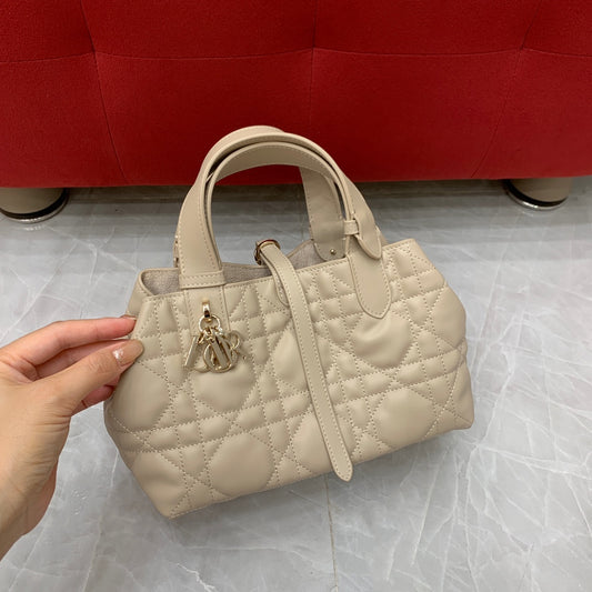 Dior Toujours Small Handbag