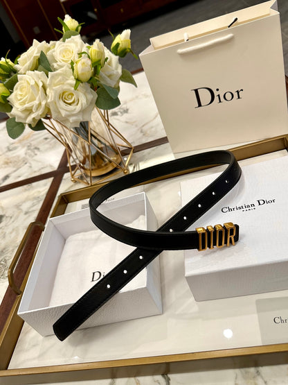 Dior Leather Belt – Gold Buckle
