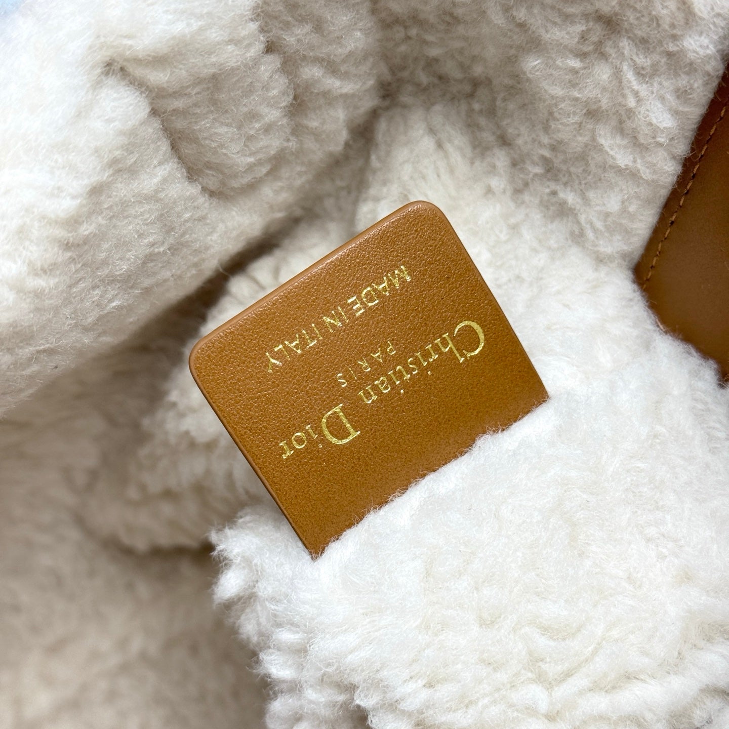 Dior Small Toujours Vertical Shearling Handbag