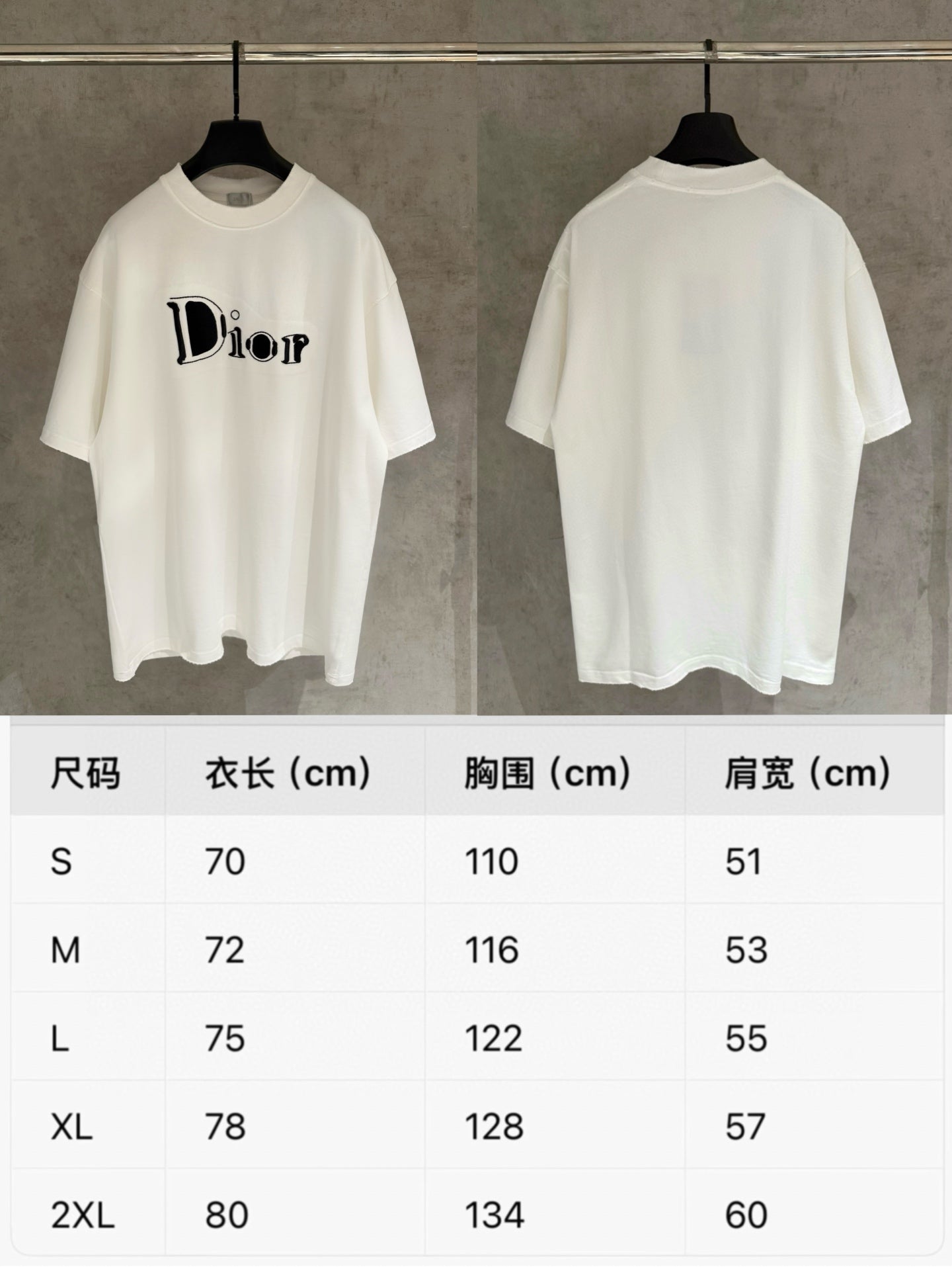 Dior Patch Embroidery Heavyweight T-Shirt