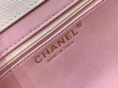 Chanel 26P Preppy Coco Shoulder Bag – Spring/Summer Collection