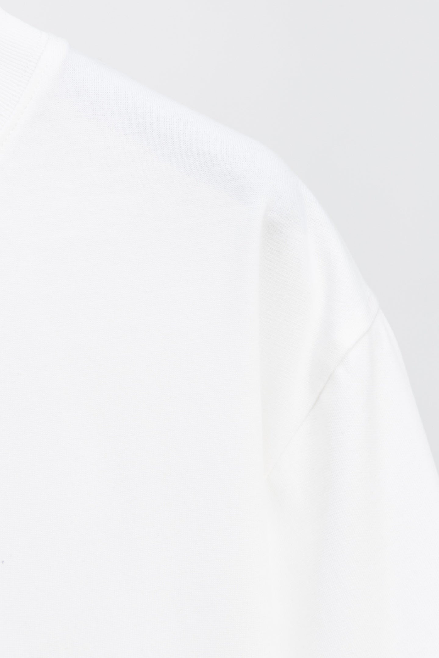 Dior Daisy Embroidered T-Shirt – 2026 Summer Collection